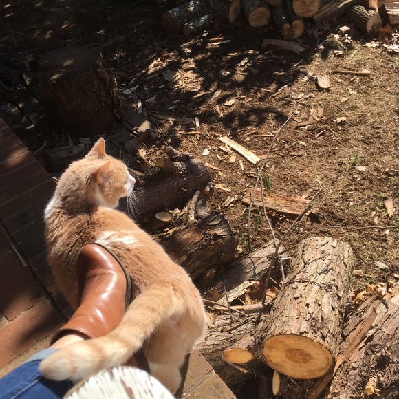 Meet your Posher, Moira - Picture 1 of 1